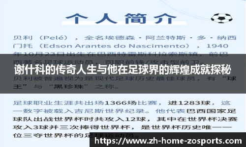 谢什科的传奇人生与他在足球界的辉煌成就探秘